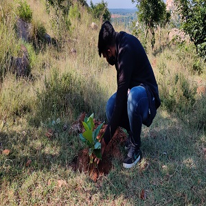 Beekeeping training campaign